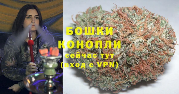 spice Богородицк