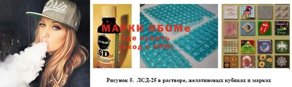 spice Богородицк