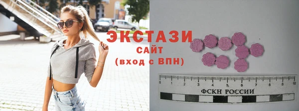 spice Богородицк