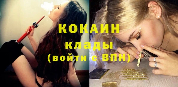 spice Богородицк