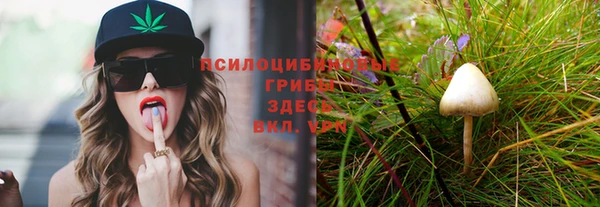 spice Богородицк